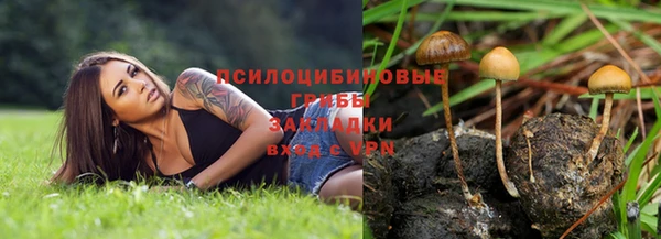 шишки Покровск