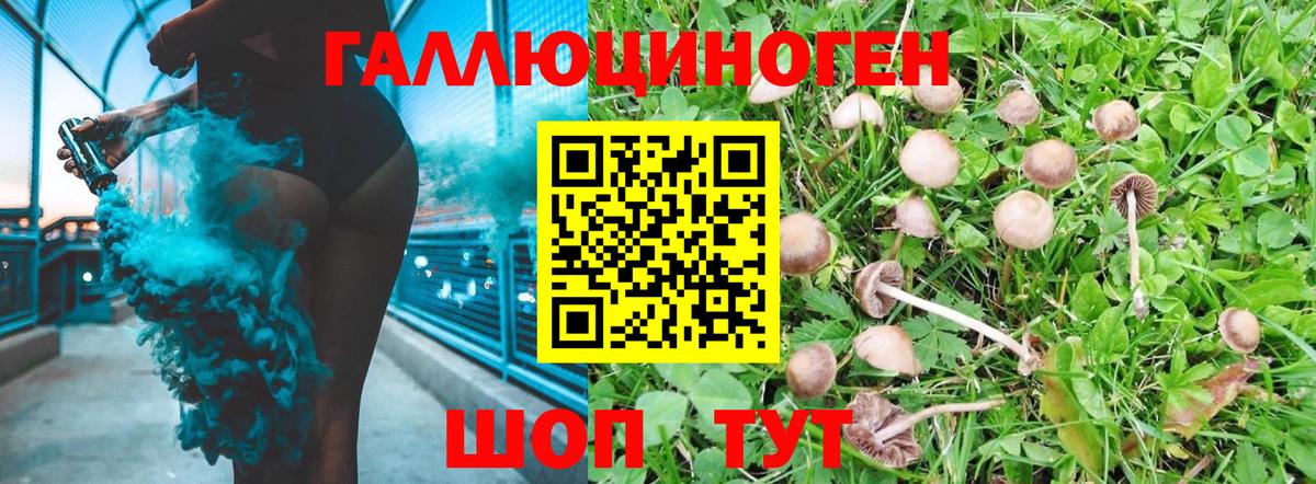 Галлюциногенные грибы ЛСД  Вход с VPN  Новоалександровск  Псилоцибиновые грибы Psilocybine cubensis 