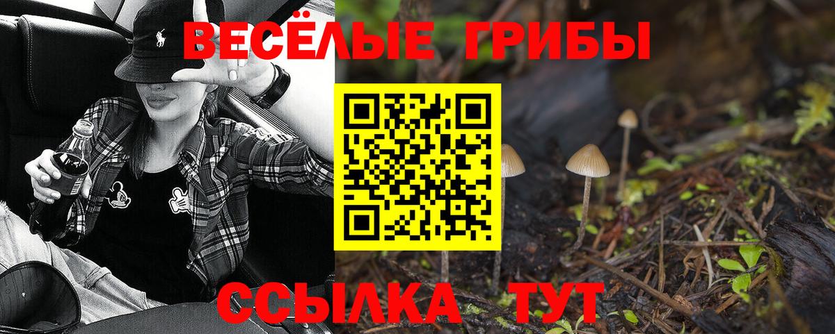 Галлюциногенные грибы мицелий Новоалександровск